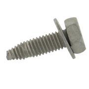 Screw Self Tapping