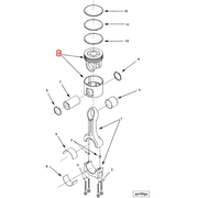 3682389 Image1