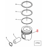 3895864 Image1