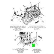 Figure 1CDM7