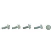 Bolt - M6 X 16.5MM (AT)