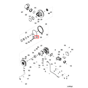 4038031 Image1
