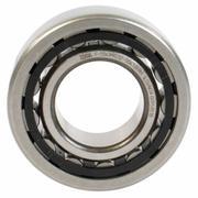 Manual Transmission Input Shaft Bearing (6-MT)