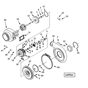 4955392 Image1