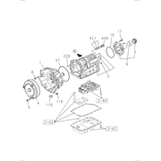 Exhaust Manifold Assembly