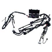 Engine Wiring Harness Wire - 5.4L (AT)