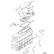 3975948 Image1