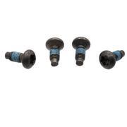 Door Latch Bolt - M6 X 13, Front, Rear