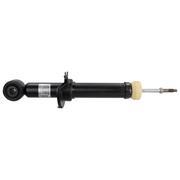Suspension Shock Absorber Strut - Rear