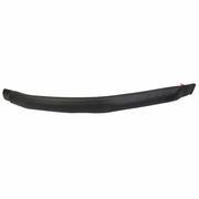 Door Window Molding Seal - Right, Rear