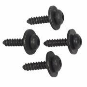Screw - 4.8 X 19, Right