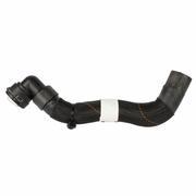 Radiator Coolant Hose - Lower