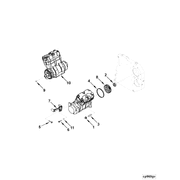 4919966 Image1