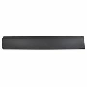 Molding MOULDING - Right, Lower