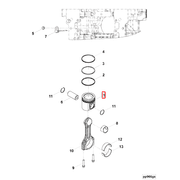 5264621 Image1