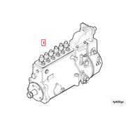 3921774 Image1