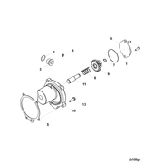 3681704 Image1