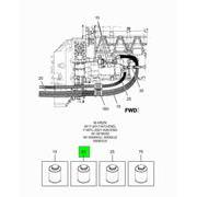 Figure 1NG2C