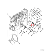 3920905 Image1