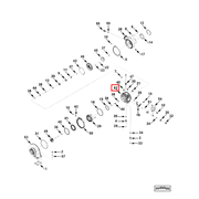 4040964 Image1
