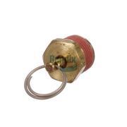 Drain Valve
