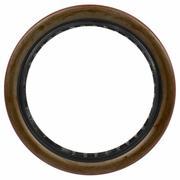 Seal Oil - Rear