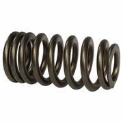 Engine Valve Spring - 5.0L