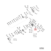 3591431 Image1