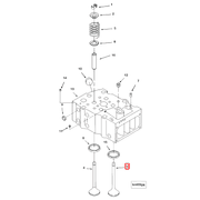 3052820 Image1