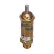 Safety Valve