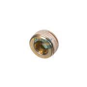 Pipe Plug