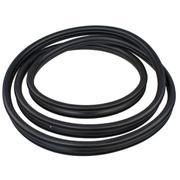 Door Seal Window Weatherstrip - Left, Front