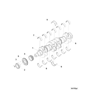 3691444 Image1