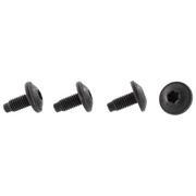 Liftgate Latch Bolt Screw (RS)