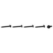 Screw and Washer