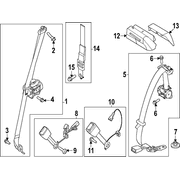 Seat Belt Receptacle - Right, Rear