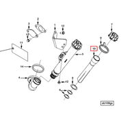 3684416 Image1
