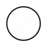 Seal Ring - Bearing Housing to Timing Case - OM502