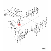 3536444 Image1