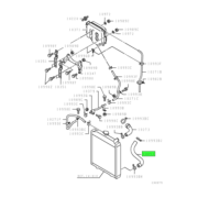 HOSE,RADIATOR,LWR 1