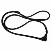 Door Seal Window Weatherstrip - Left, Front