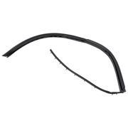 Weatherstrip - Left, Front