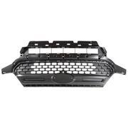Grille <br>Grille Air Radiator Bumper Medallion cover Reinforcement (TRAIL)