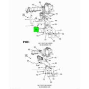 Figure 1BHFH