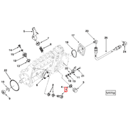 3921164 Image1