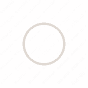 Laminated Sealing Ring for OM906