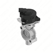 Exhaust Gas Recirculation Valve