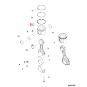 3698036 Image1