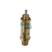 Safety Valve