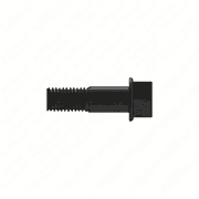 Screw